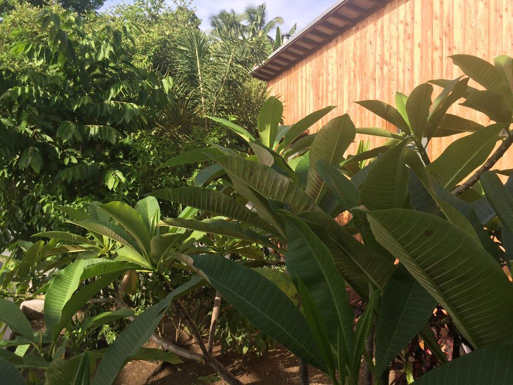Maison d'hôtes La Résidence Nou Cinq Le Gosier (Grande-Terre)